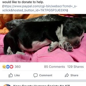 Meet your Posher, Dawn